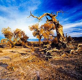 TGA 2023：《无人深空》开发商新作《Light No Fire》公布