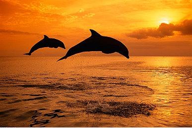 暴雪开发新神秘3A游戏 目前正招募大量高级职位